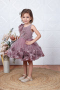 Littleloves Brown Net Flower Ribbon Kids Party Frock Dress