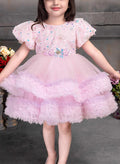 Littleloves Pink Colour Net Kids Party Dress